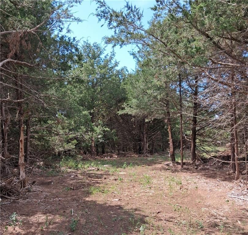 Highway 75 Highway — photo 1