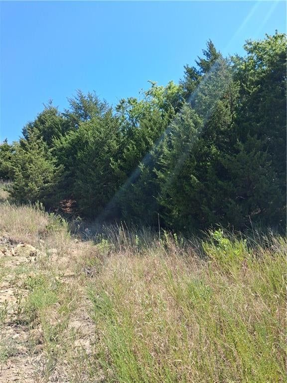 Highway 75 Highway — photo 3
