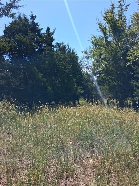 Highway 75 Highway — photo 6