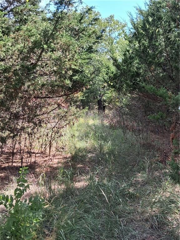 Highway 75 Highway — photo 8