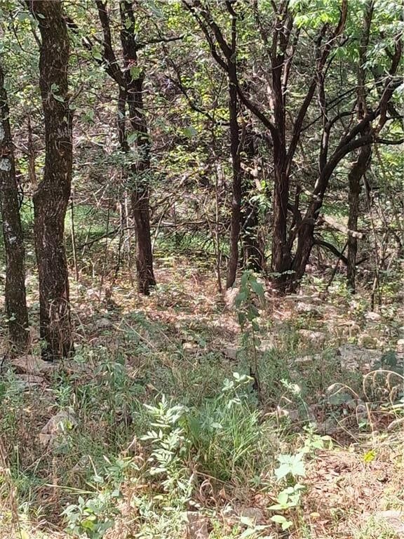 Highway 75 Highway — photo 10