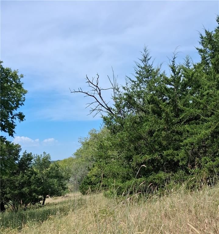 Highway 75 Highway — photo 11