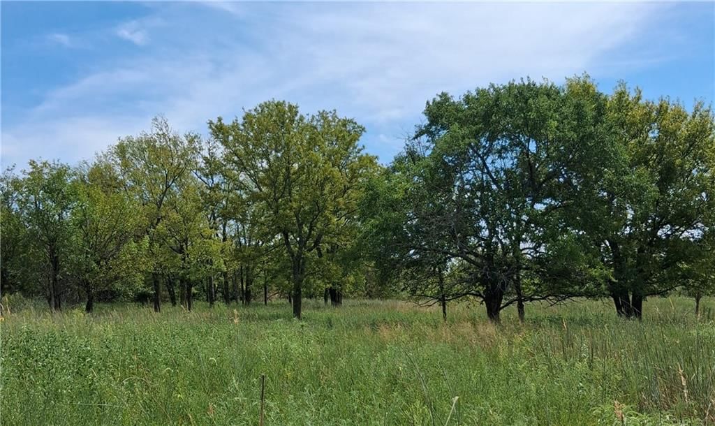 Highway 75 Highway — photo 12