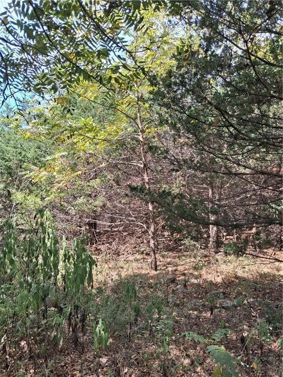 Highway 75 Highway — photo 19