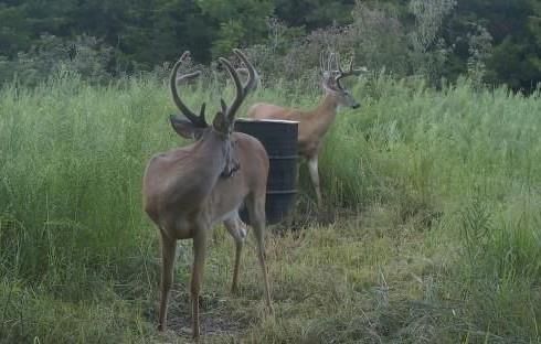 Highway 75 Highway — photo 23