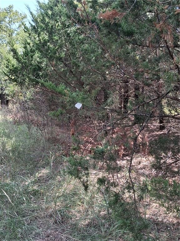 Highway 75 Highway — photo 28