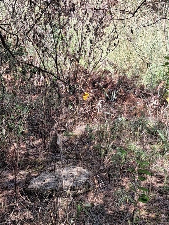 Highway 75 Highway — photo 32
