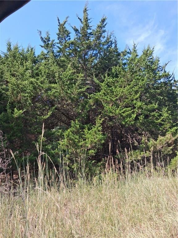 Highway 75 Highway — photo 33
