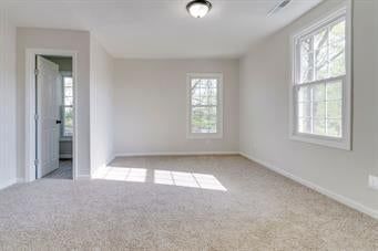 407 Olive Street — photo 5