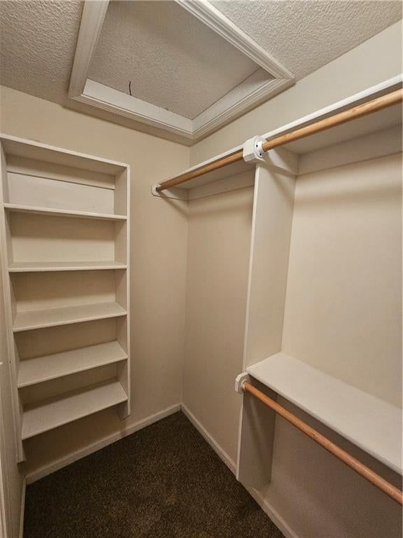 8822 Timber Creek Lane — photo 35
