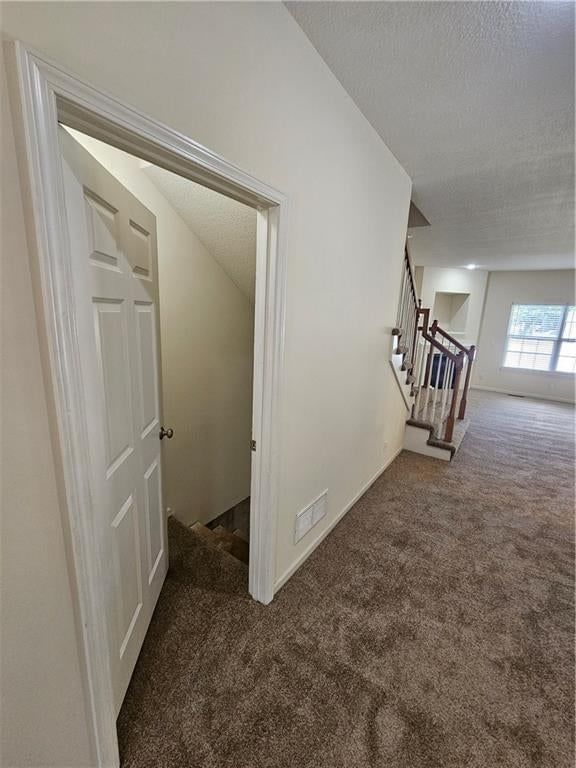 8822 Timber Creek Lane — photo 50