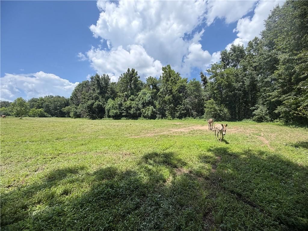 TBD Campbell Road — photo 37