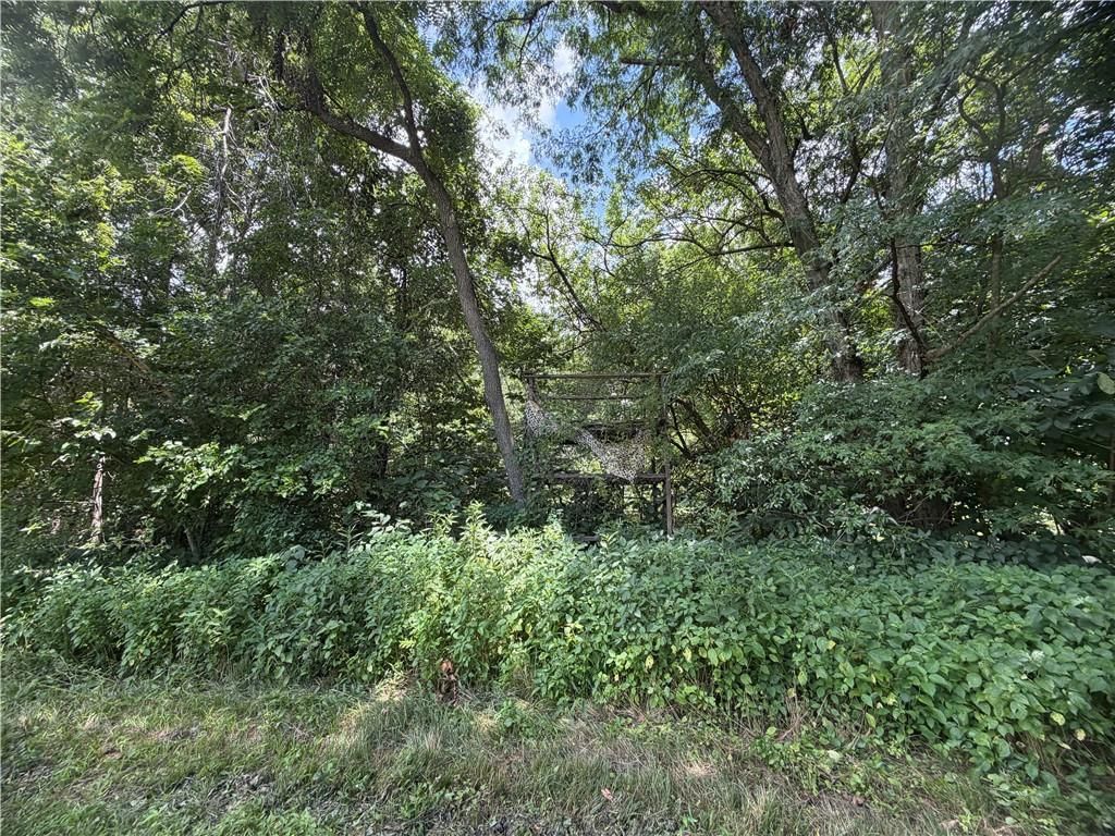 TBD Campbell Road — photo 38