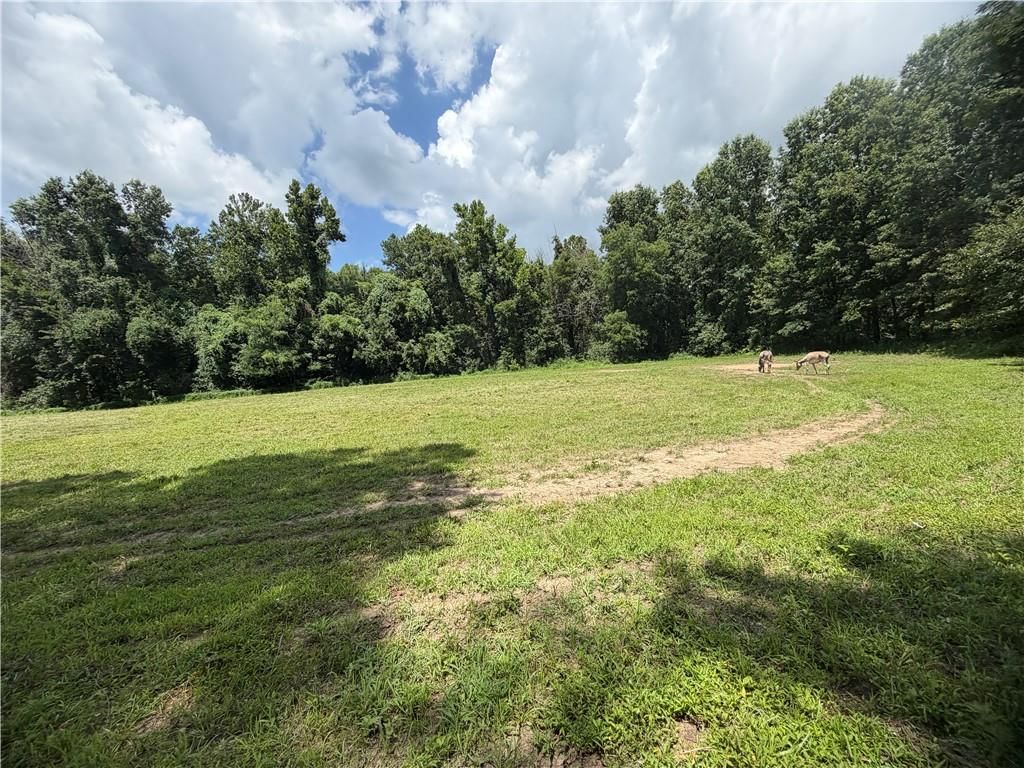 TBD Campbell Road — photo 42
