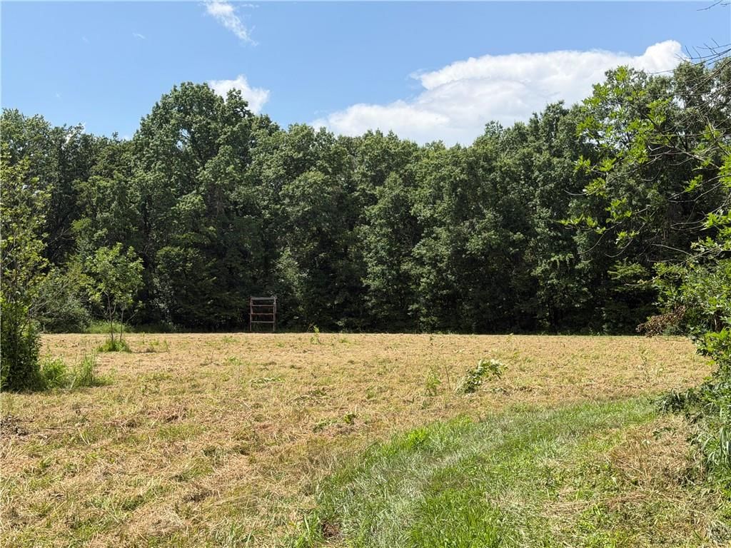 TBD Campbell Road — photo 48