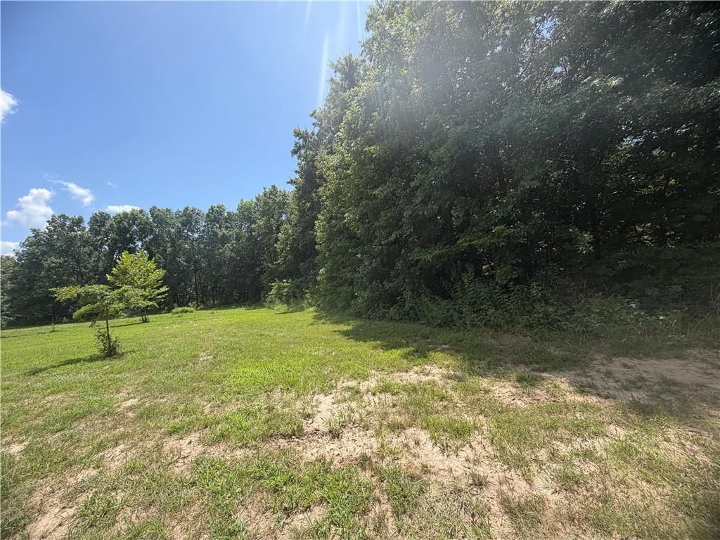 TBD Campbell Road — photo 86
