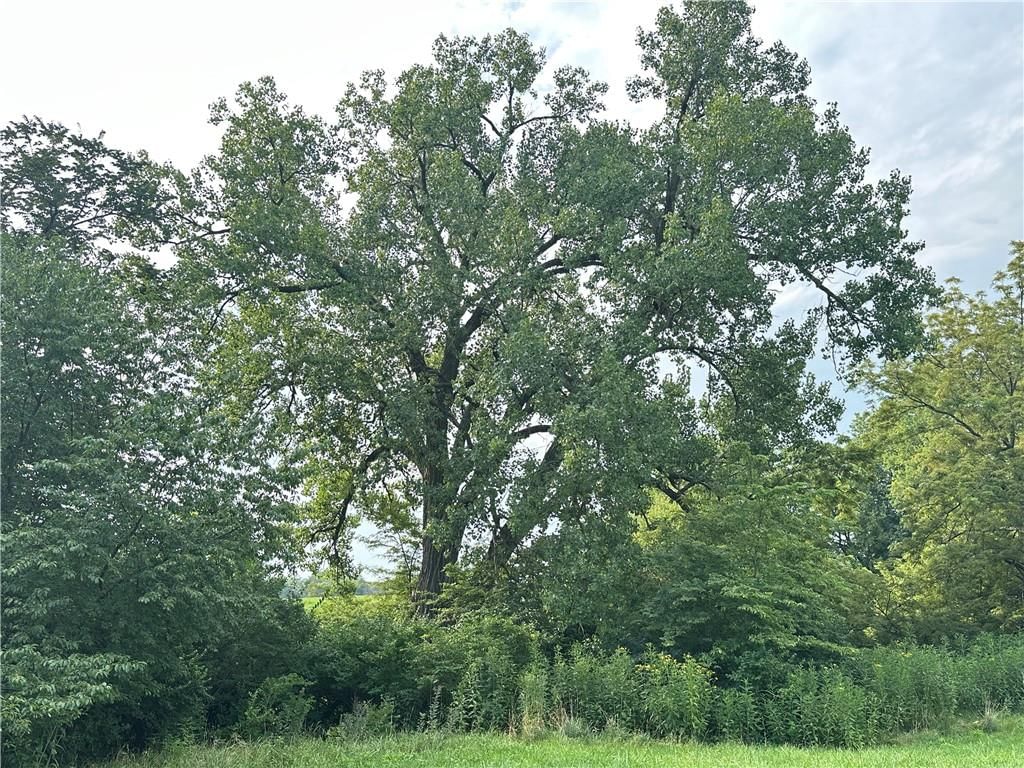 Tract 1 Jade Road — photo 19