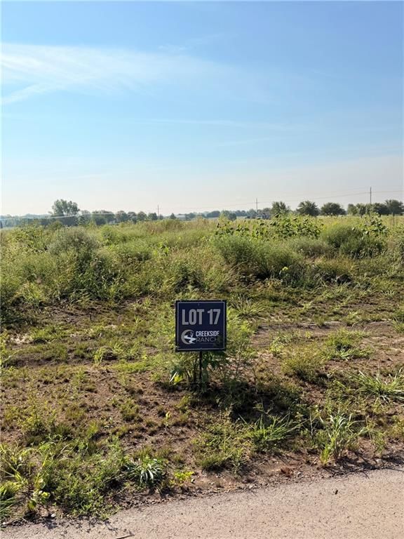 1085 Aria Drive, Raymore, MO