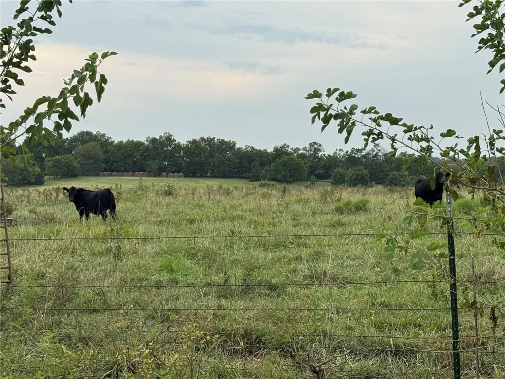 Lot 5 New Lancaster Road — photo 10