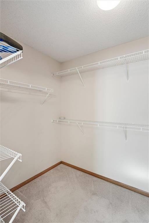 7907 N Cherry Street — photo 16