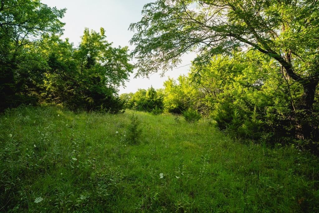 550 California Road — photo 18