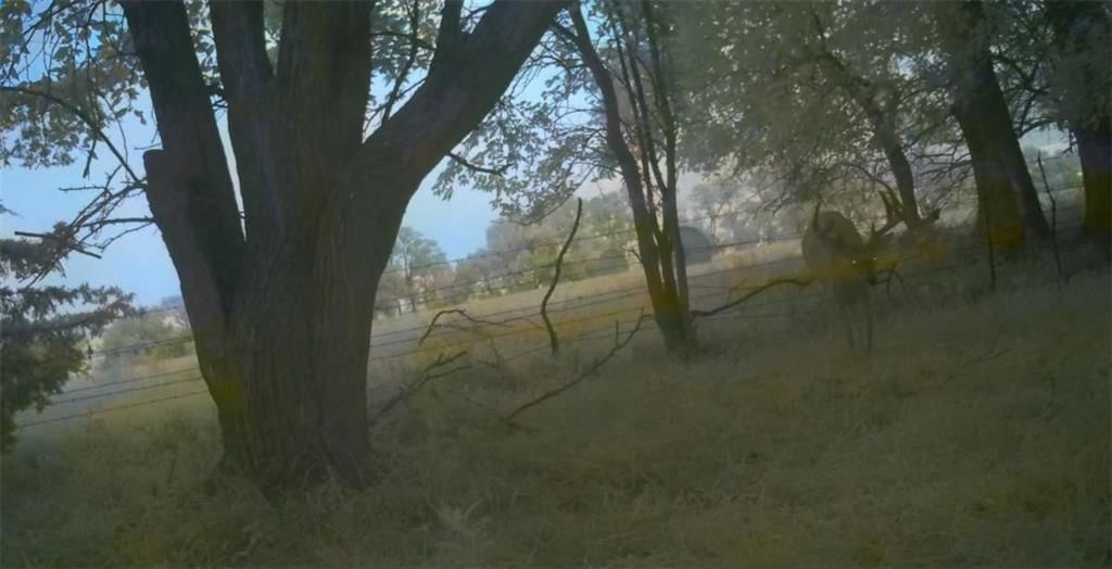 550 California Road — photo 75