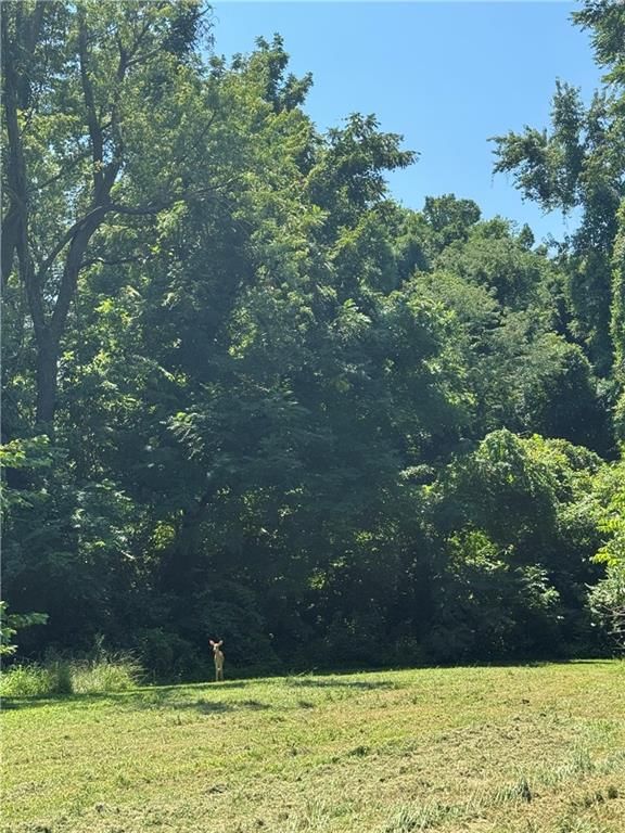 Photo 16 of 16 - 13409 & 13411 Kemper Avenue, Independence, MO 64050