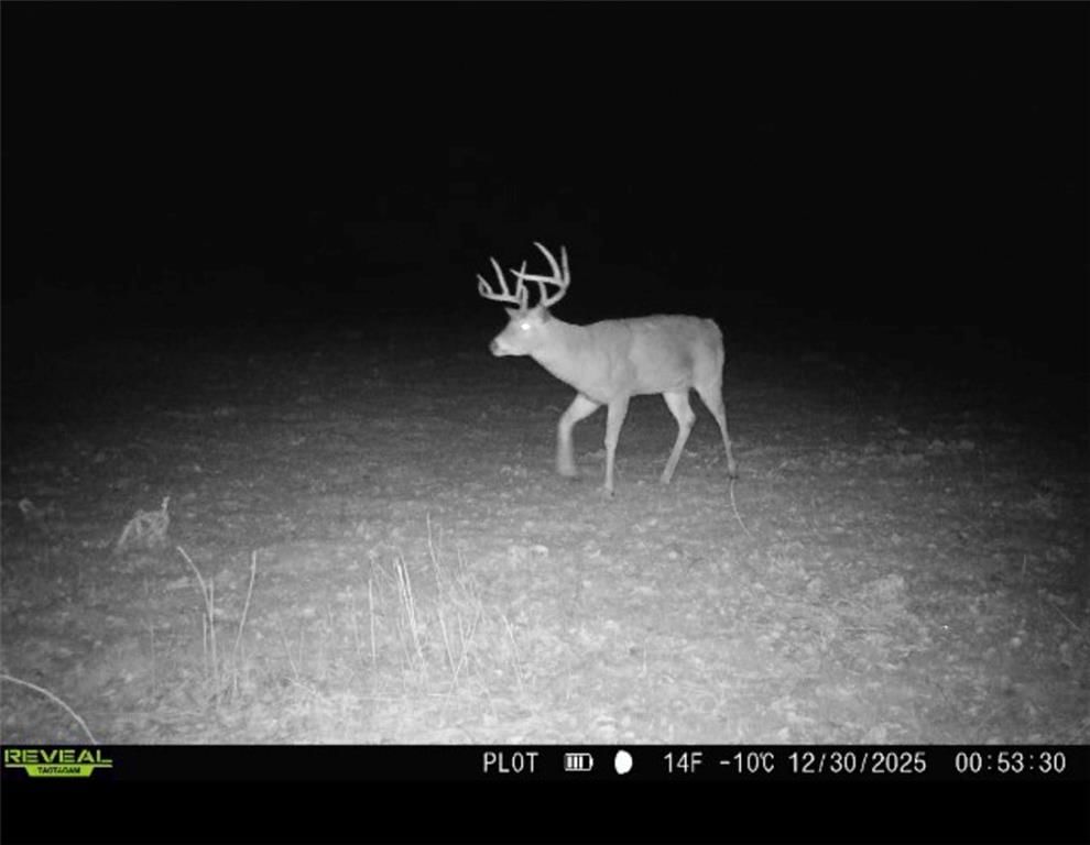 1434 US Hwy 75 Highway — photo 38