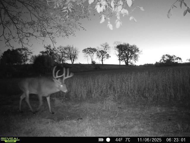 1434 US Hwy 75 Highway — photo 39