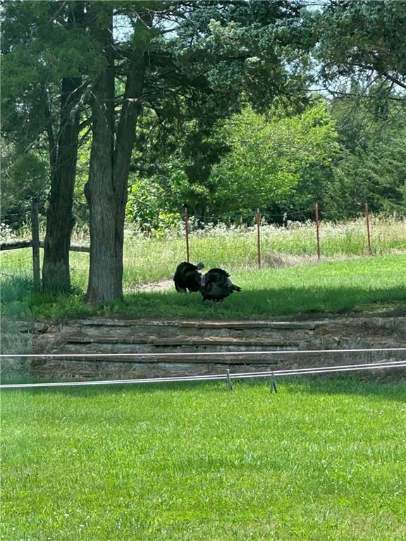 1434 US Hwy 75 Highway — photo 40