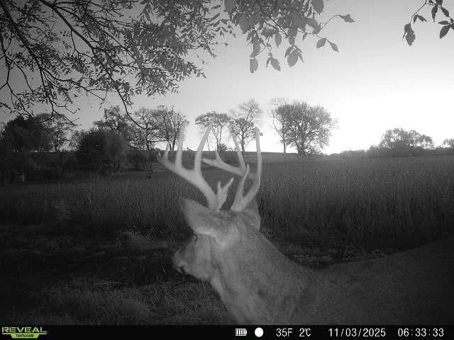 1434 US Hwy 75 Highway — photo 44