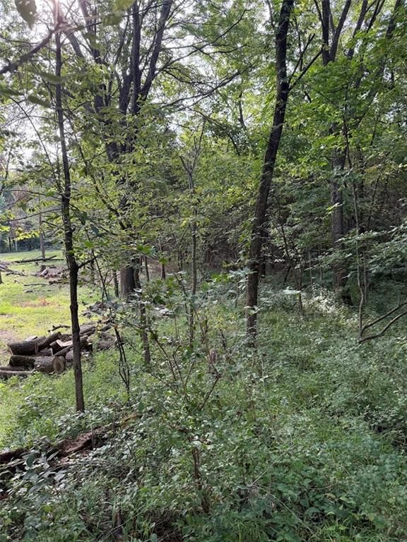 Photo 7 of 12 - 12021 Country Club Court, Parkville, MO 64152