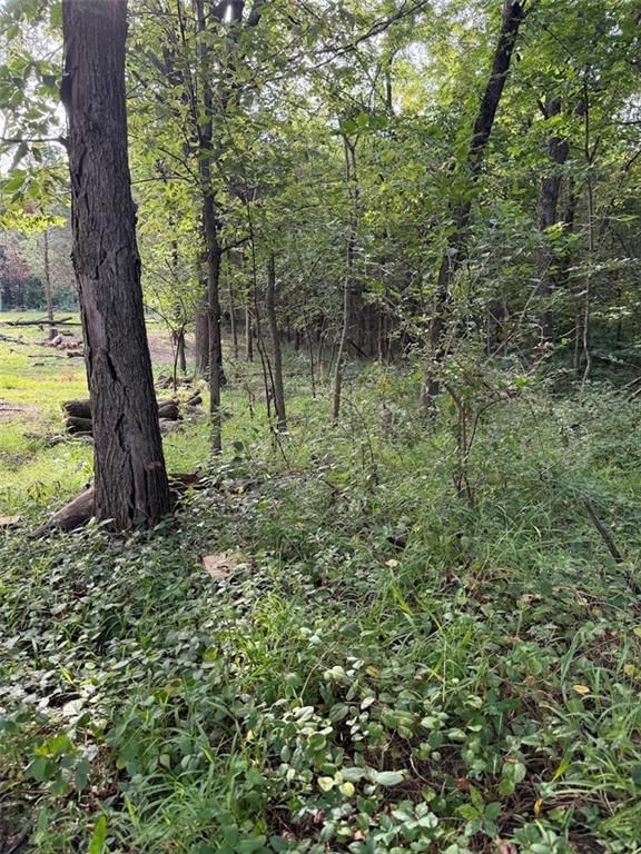 Photo 8 of 12 - 12021 Country Club Court, Parkville, MO 64152