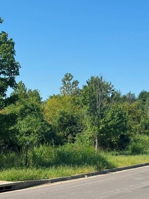 Brookside Drive, Blue Springs, MO