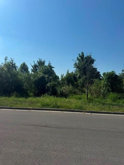 Brookside Drive, Blue Springs, MO: listing photo 2