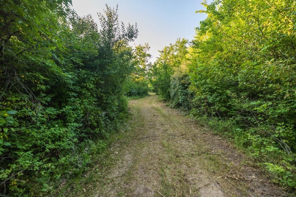 Photo 23 of 35 - 0000 NE Anderson Drive, Lee's Summit, MO 64064