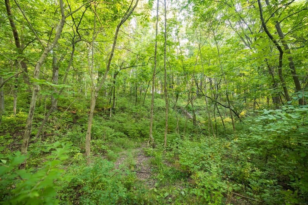 Photo 31 of 35 - 0000 NE Anderson Drive, Lee's Summit, MO 64064
