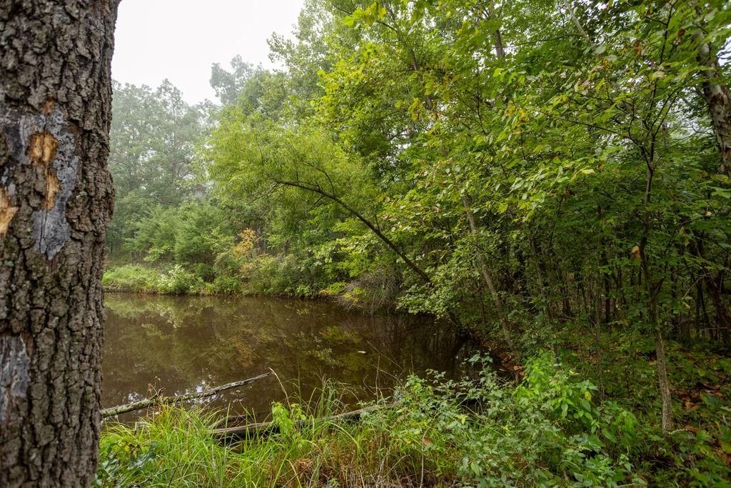 6030 SE 740 Pvt Road — photo 53