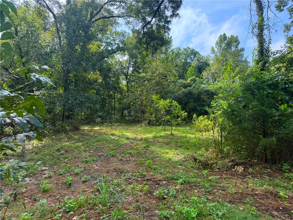 17660 Golden Road — photo 22