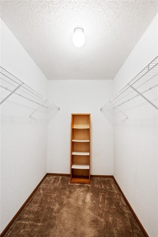 7841 Freeman Avenue — photo 28
