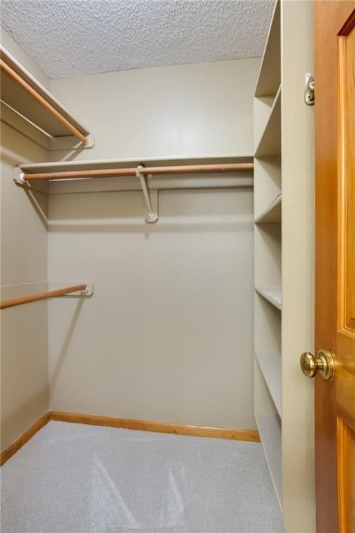 8018 Alden Street — photo 18
