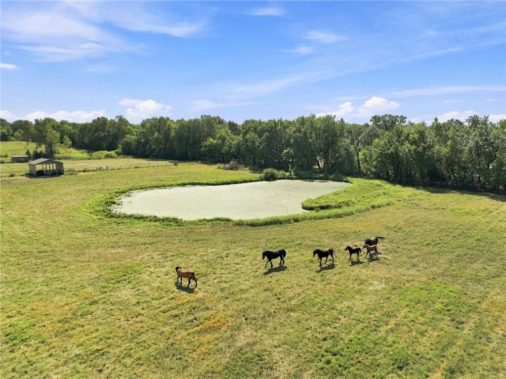 27611 S Belle Plain Road, Harrisonville, MO: listing photo 3