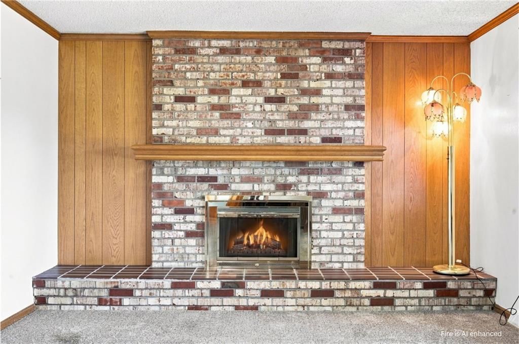 30115 W 95th Street — photo 4