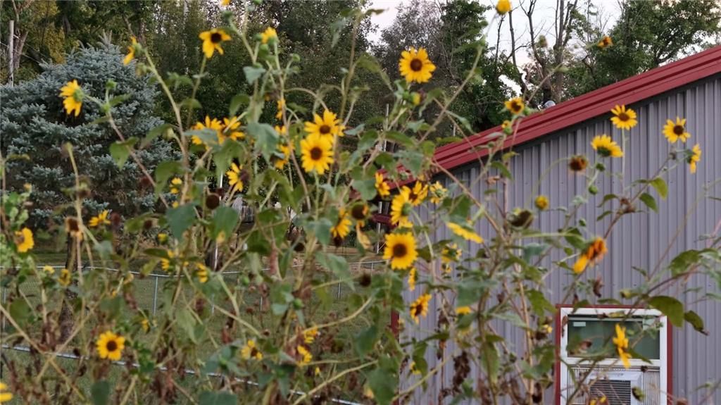 504 Goldengate Street — photo 32