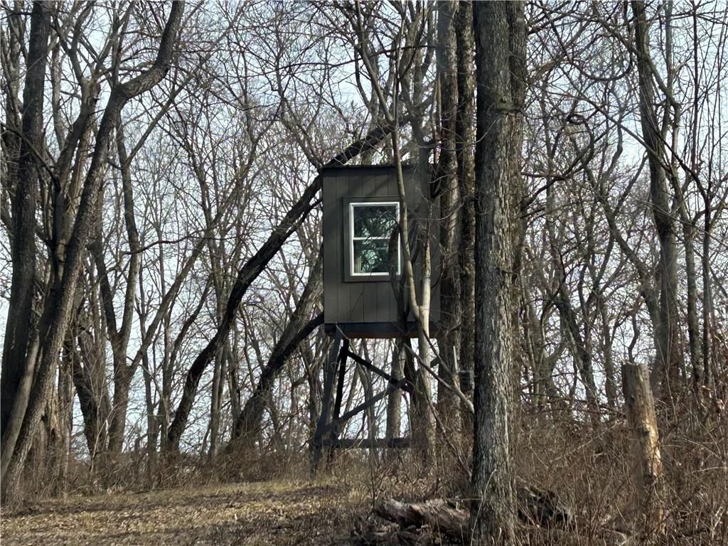 22803 Mary Lois Road — photo 36