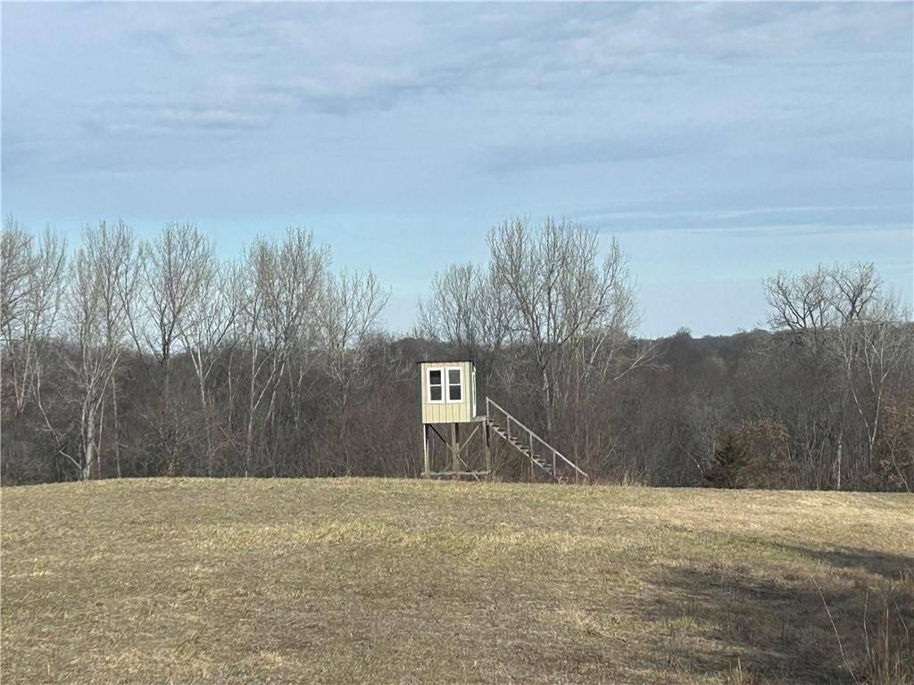 22803 Mary Lois Road — photo 37