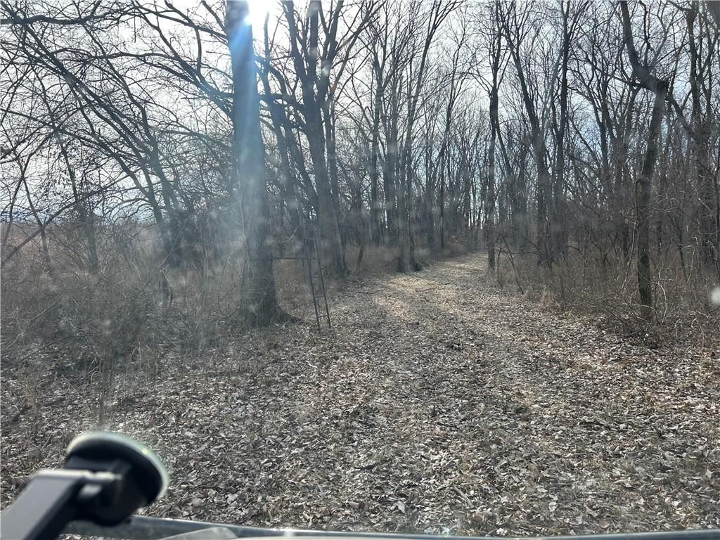 22803 Mary Lois Road — photo 42