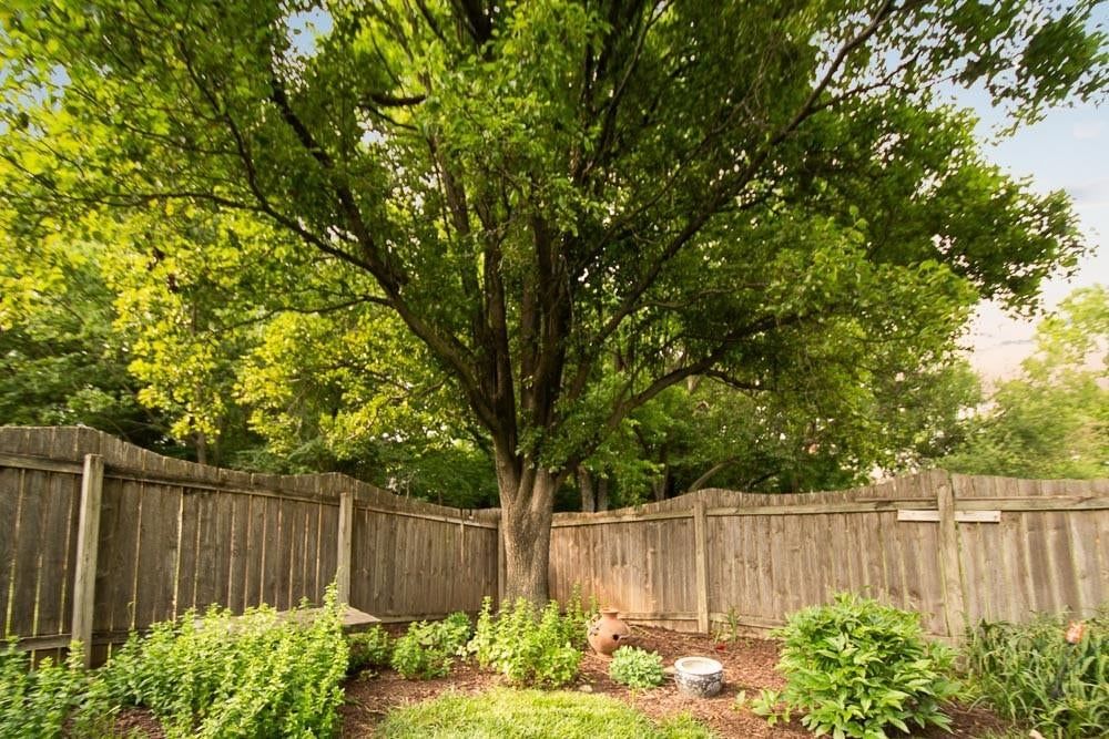 3000 University Drive — photo 44