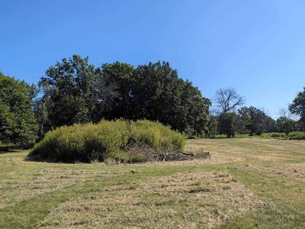 Photo 9 of 12 - S Cave Road, Lone Jack, MO 64075