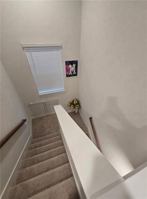20150 Cornice Street — photo 12
